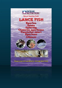 LANCE FISH LANCE FISH